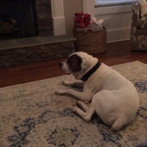 Meet your Posher, Ben